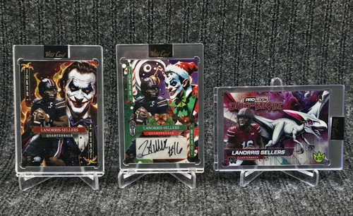2025 wild card holiday - holiday, joker