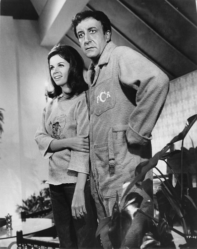 Peter sellers the - peter, party
